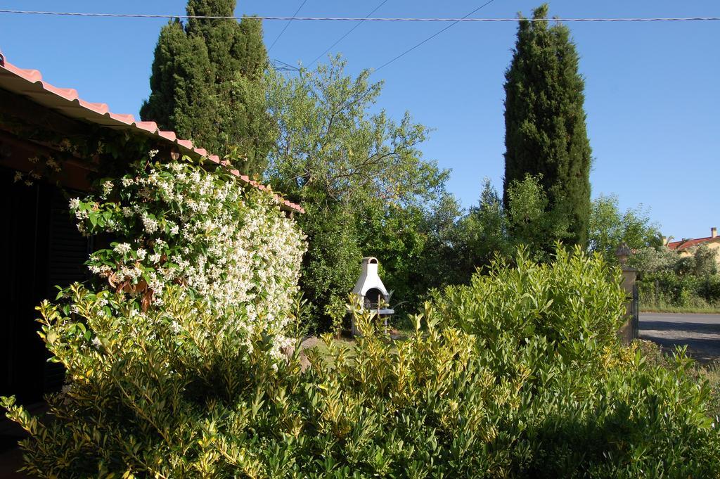 Agriturismo Il Cipresso Villa Vada Exterior photo