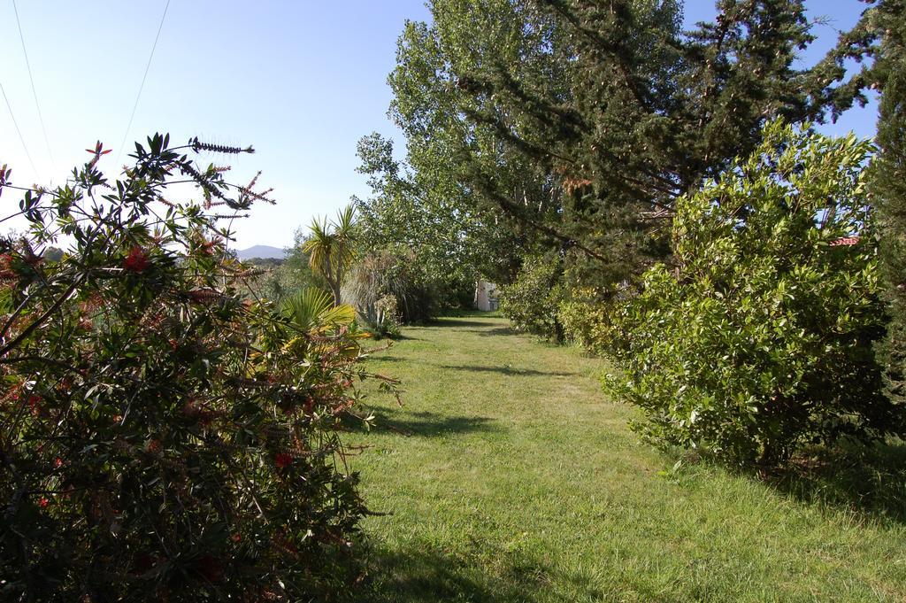 Agriturismo Il Cipresso Villa Vada Exterior photo